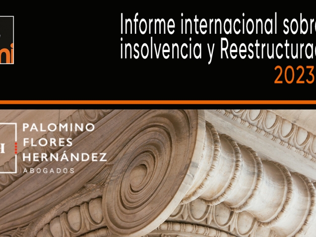 International-Insolvency-Restructuring-Report-2023-24.jpg