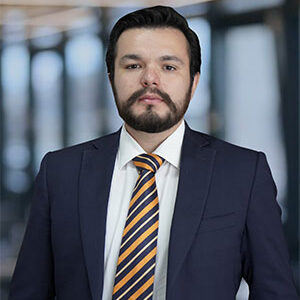 Daniel Bravo Barreda
