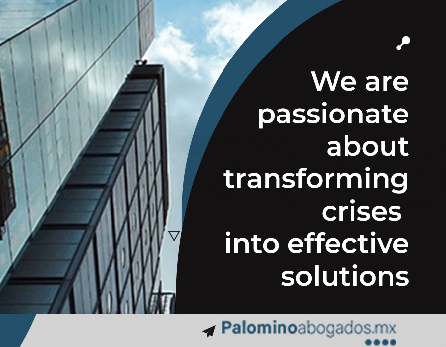 Banner-rectangular-PFHR-en-blue